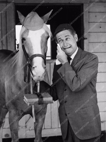 Alan Young and Ed of Mr Ed TV Show 3682-15