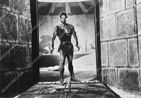 muscle man Steve Reeves film Hercules Unchained 3698-06
