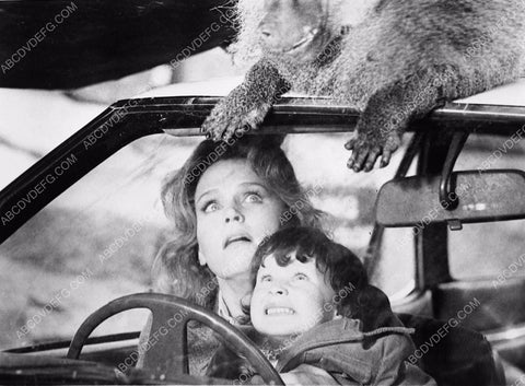 Lee Remick Harvey Stephens attacked by baboons film The Omen 3745-26