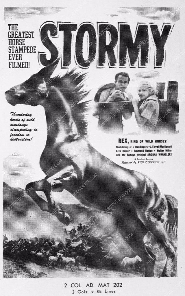 Rex king of the wild horses film Stormy 376133 ABCDVDVIDEO