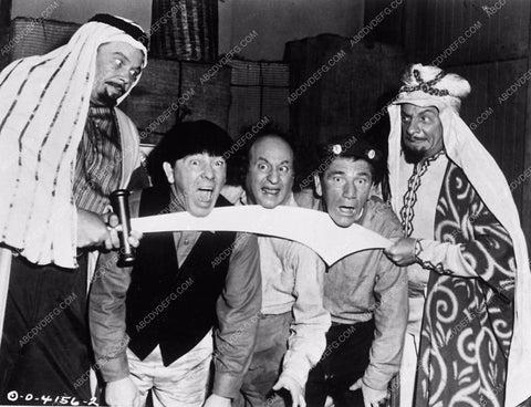 Three Stooges Moe Larry Shemp comedy short 3 Arabian Nuts 3873-11