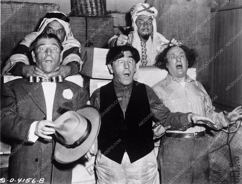 Three Stooges Moe Larry Shemp comedy short 3 Arabian Nuts 3873-16