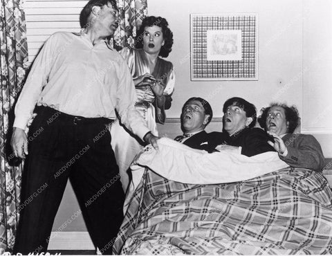 Three Stooges Moe Larry Shemp Jean Willes Dick Curtis 3-D short Don't Throw That Knife 3873-29