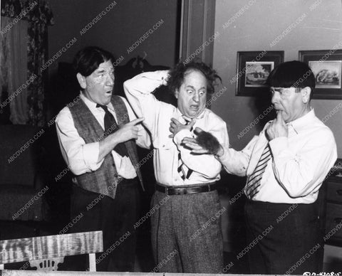Three Stooges Moe Larry Shemp comedy short Income Tax Sappy 3915-28