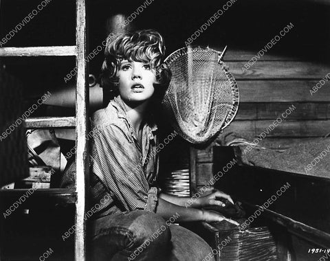 Hayley Mills film The Truth About Spring 4003-10