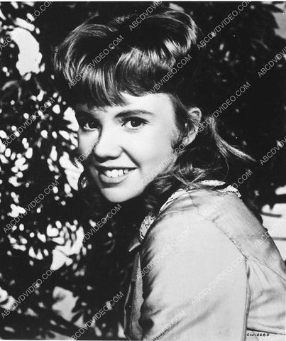 cute Hayley Mills portrait 4004-25