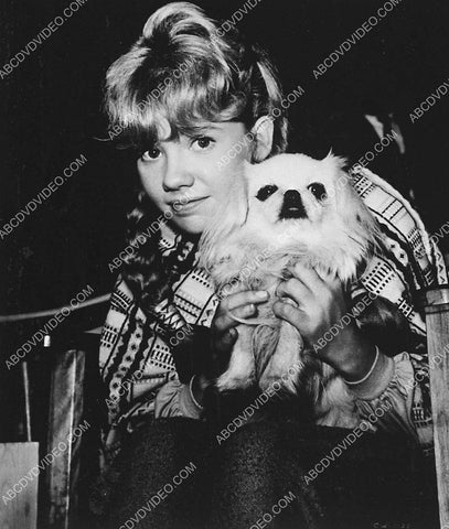 Hayley Mills posing with her dog 4004-35