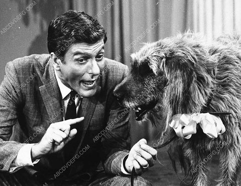 Dick Van Dyke and the dog The Dick Van Dyke Show 4103-29