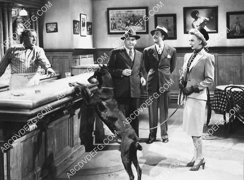 Allyn Joslyn Carole Landis takes her dog to the bar film It Shouldn't Happen to a Dog 4588-25