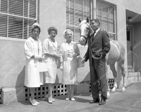 Alan Young Mister Ed behind the scenes studio backlot TV Mr. Ed 45bx01-02