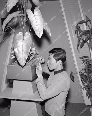 George Takei original TV show Star Trek 45bx05-141