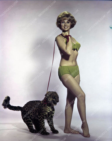 1960's actress portrait shoot green bikini with baby leopard 45bx07-304