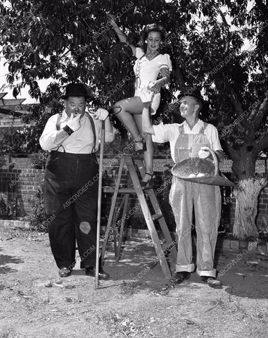 candid Stan Laurel Oliver Hardy tend garden at home in backyard 45bx08-298