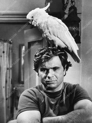 Robert Blake and cockatoo Fred TV Baretta 4651-32