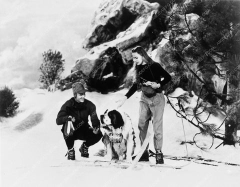 The Adventures of Topper TV cast with Saint Bernard in snow 4896-32