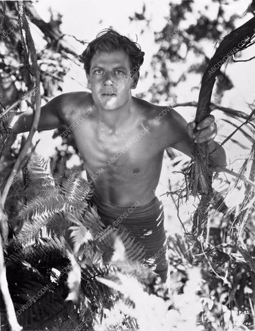 shirtless Joel McCrea classic film The Most Dangerous Game 4b09-212