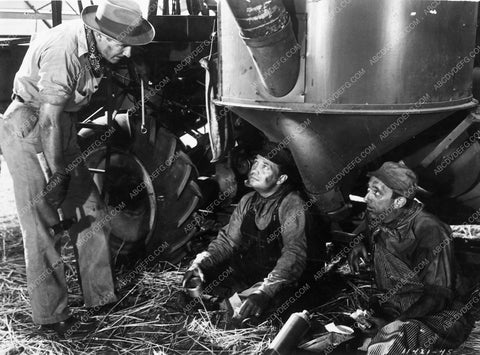 Walter Sands Wild Harvest 5193-27