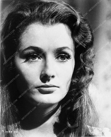 Diana Muldaur portrait 5347-28