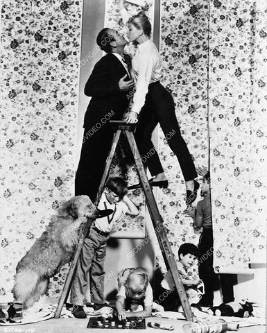David Niven Doris Day the kids and the dog film Please Don't Eat the Daisies 5475-04