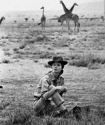 Michele Girardon on the African plains film Hatari 5491-03