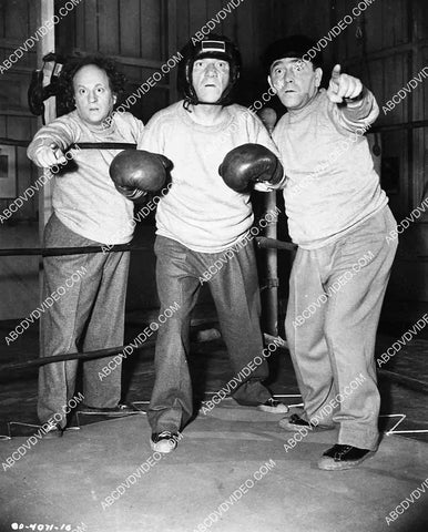 3 Stooges Moe, Larry, Shemp in the boxing ring short film Fright Night 5588a-019