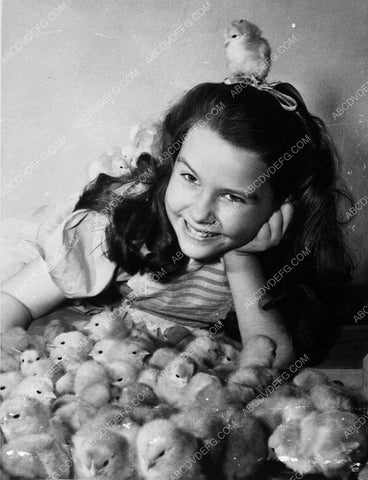 child star Sharyn Moffett portrait w a bunch of baby chicks 5598-06