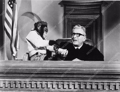 Leon Ames w the monkey film The Monkey's Uncle 5600-20