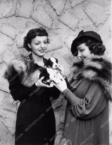 candid Claudette Colbert and friend look at some new puppy dogs 5765a-14