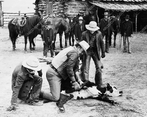 John Wayne roping a calf film The Cowboys 5817-06