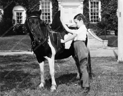 candid Margaret O'Brien child star saddling up her pony 5950-16