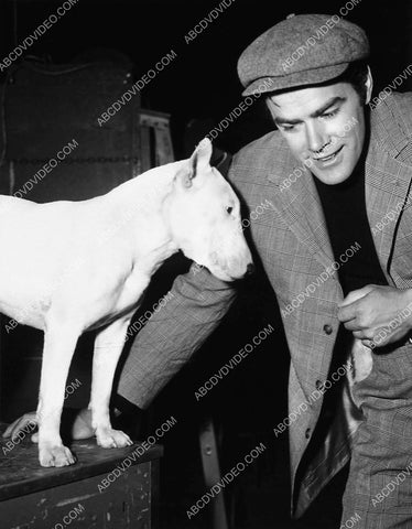 candid Jeff Richards the bull terrier dog on set film It's a Dog's Life 5967-21