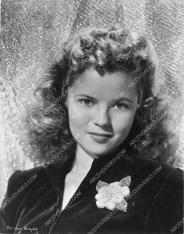 beautiful Shirley Temple portrait 6114-24