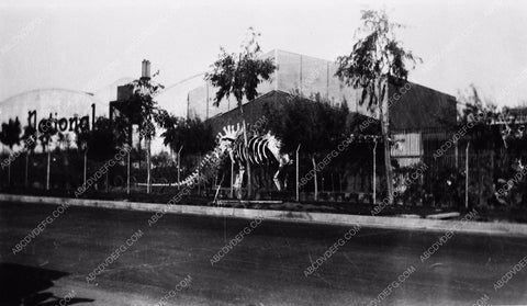 historic Hollywood Los Angeles First National Studios dinosaur skeleton 6315-26