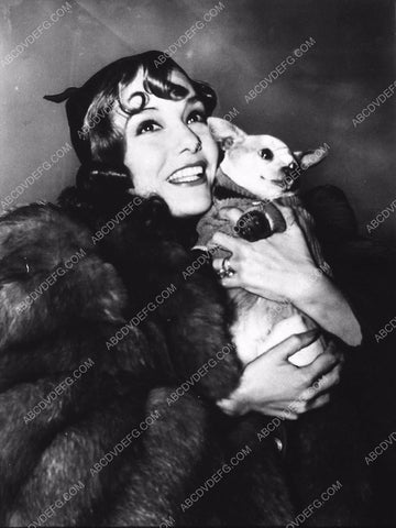 news photo Lupe Velez and her cute little dog 6387-22