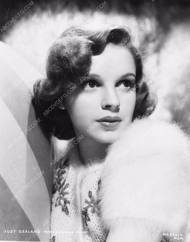 beautiful Judy Garland portrait 6556-25