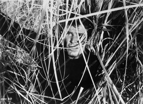James Garner in the reeds from Up Periscope 6604-27
