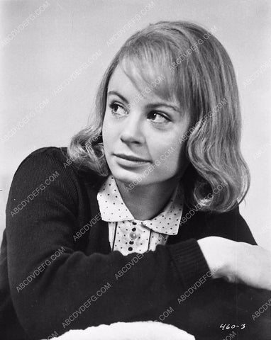 Sarah Miles portrait 6619-27
