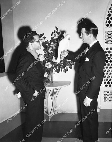 George Cukor Robert Taylor and a cockatoo 6630-11