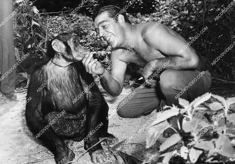 candid Lon Chaney Jr w the chimp film Cobra Woman 7019-015