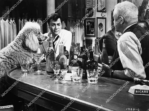 Tony Curtis and the dog at the bar film Wild and Wonderful 7022-016