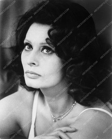 Sophia Loren portrait 7231-27