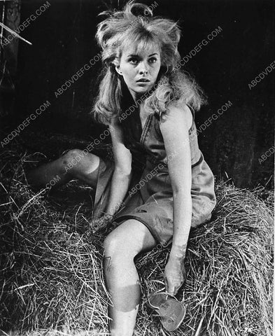 Jean Seberg after a roll in the hay film Lilith 7249-30