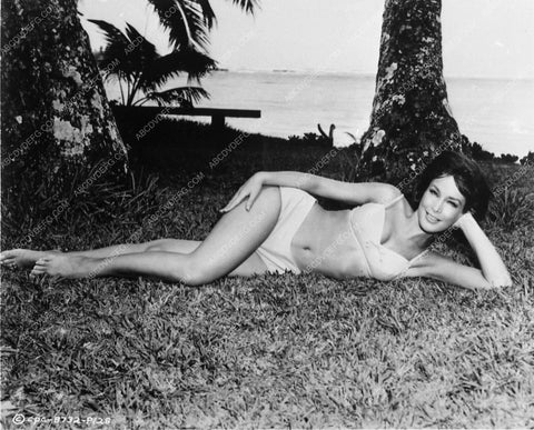 sexy brunette Barbara Eden in bikini cheesecake pinup pose 7316-30