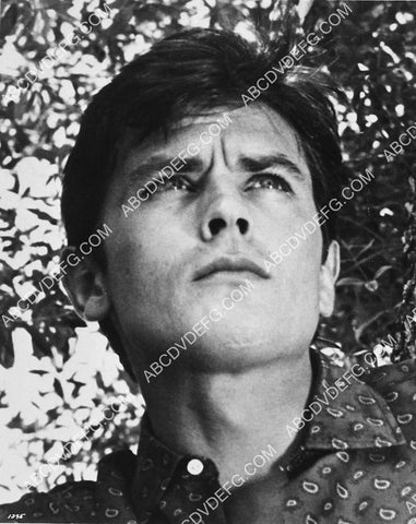 Alain Delon portrait 7356-09