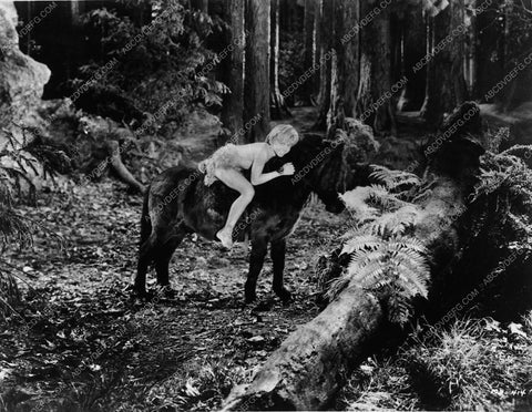 Mickey Rooney fantasy film A Midsummer Night's Dream 7716-05