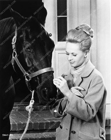 Tippi Hedren Marnie 7998-12