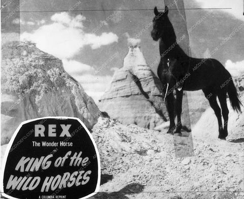 Rex the Wonder Horse film King of the Wild Horses 8114-18