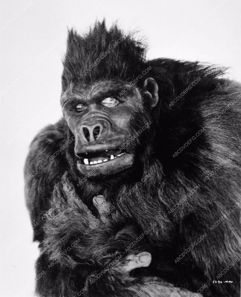 classic man in gorilla ape suit portrait for vintage films 8174-09 ...