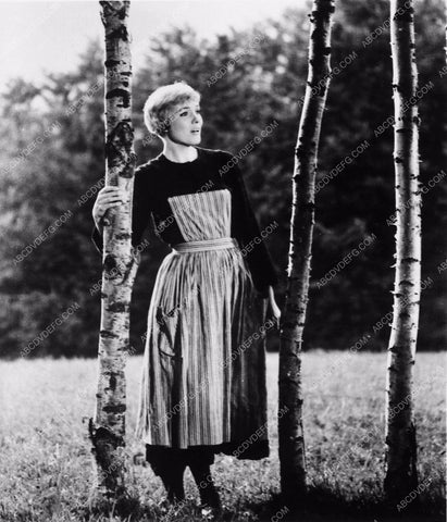 Julie Andrews film The Sound of Music 8174-27