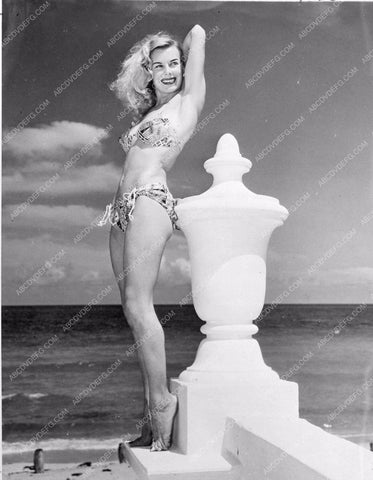 unknown 1950's bikini pinup cheesecake 81bx01-125